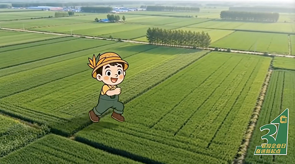 16961772417171_.pic.jpg 16961772417171_.pic.jpg