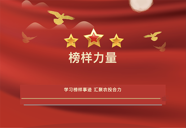 截屏2026-03-31 下午1.14.22.png