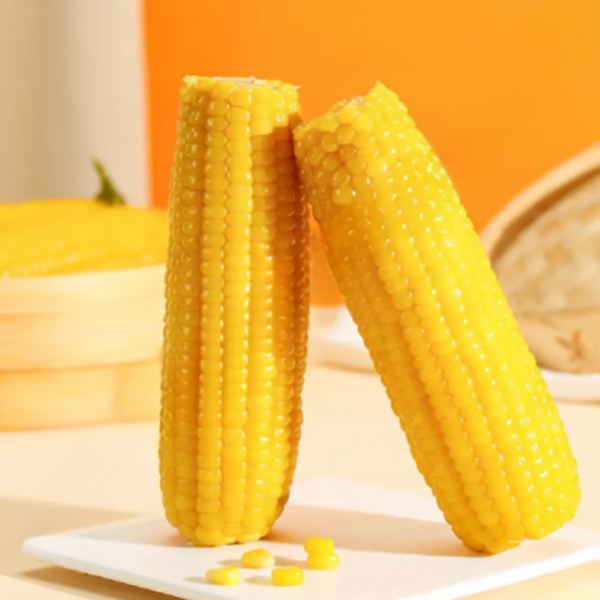 微信图片_2026-06-18_093020_899.png 微信图片_2026-06-18_093020_899.png