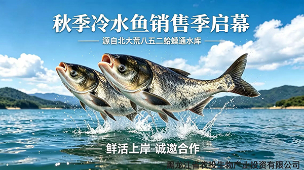 微信图片_2026-09-14_092132_624.jpg 微信图片_2026-09-14_092132_624.jpg