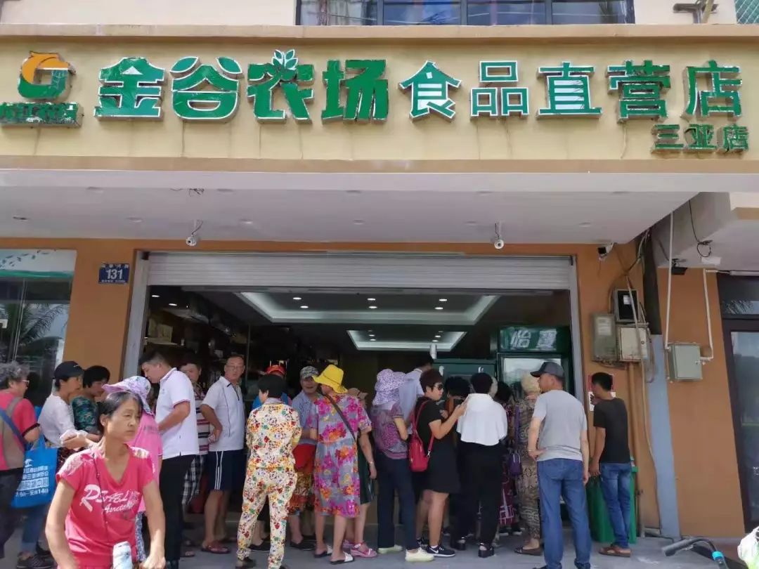 冰城三亚"金谷农场"同日绽放 - 黑龙江省农业投资集团