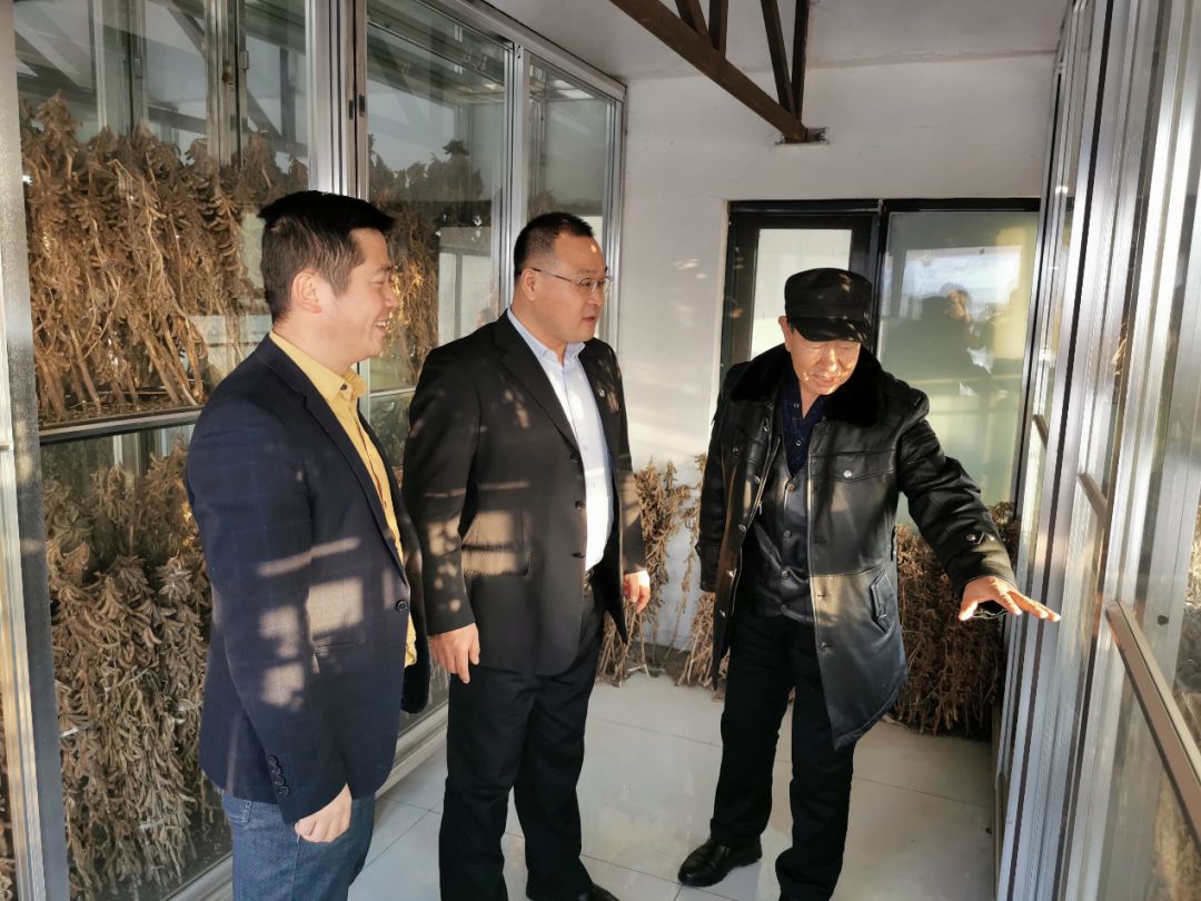 【 week · 农投 】