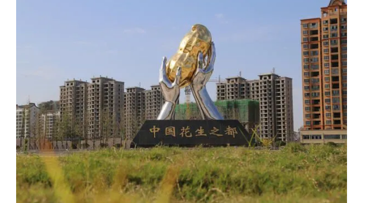 这里连续23年都是全国花生种植第一大县,正阳县常年花生种植面积在170