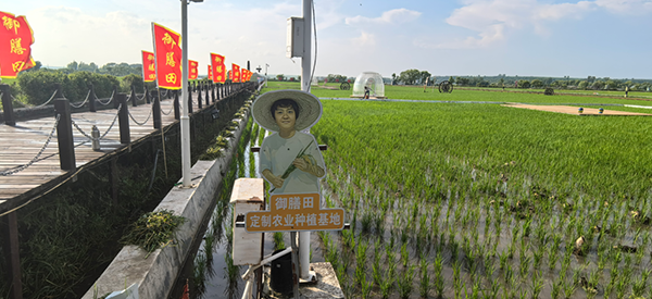 微信图片_2026-07-21_151837_319.png 微信图片_2026-07-21_151837_319.png