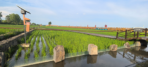 微信图片_2026-07-21_151848_551.png 微信图片_2026-07-21_151848_551.png